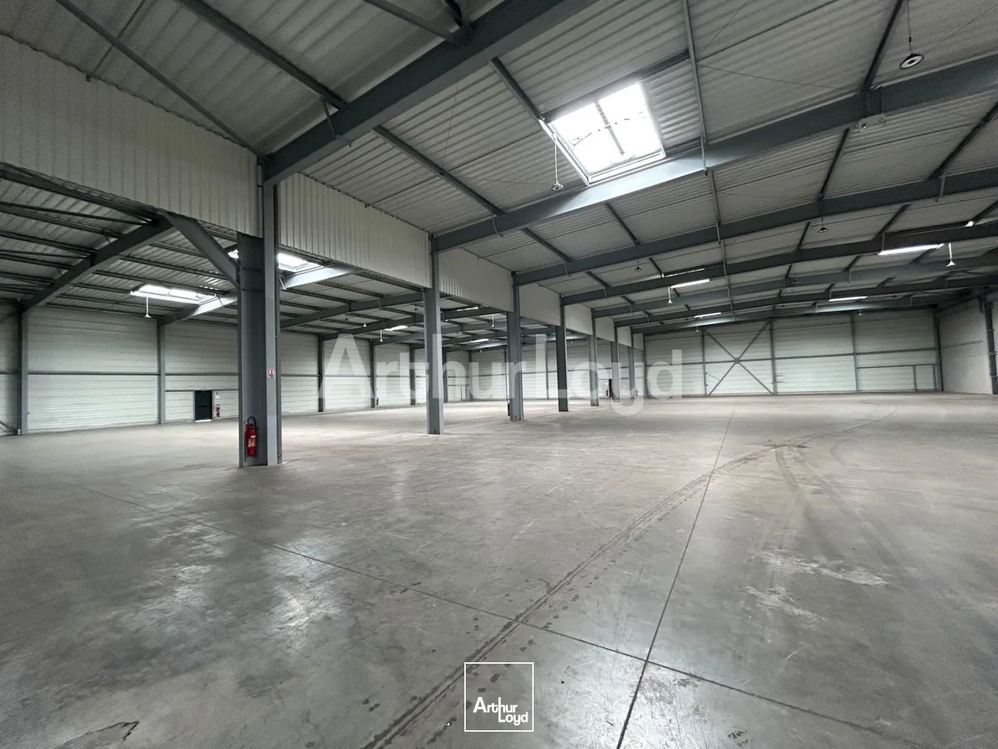 Locaux d'activité & Entrepôts - Location - SARS ET ROSIERES - 59230 - 2940-2940 - 7910484