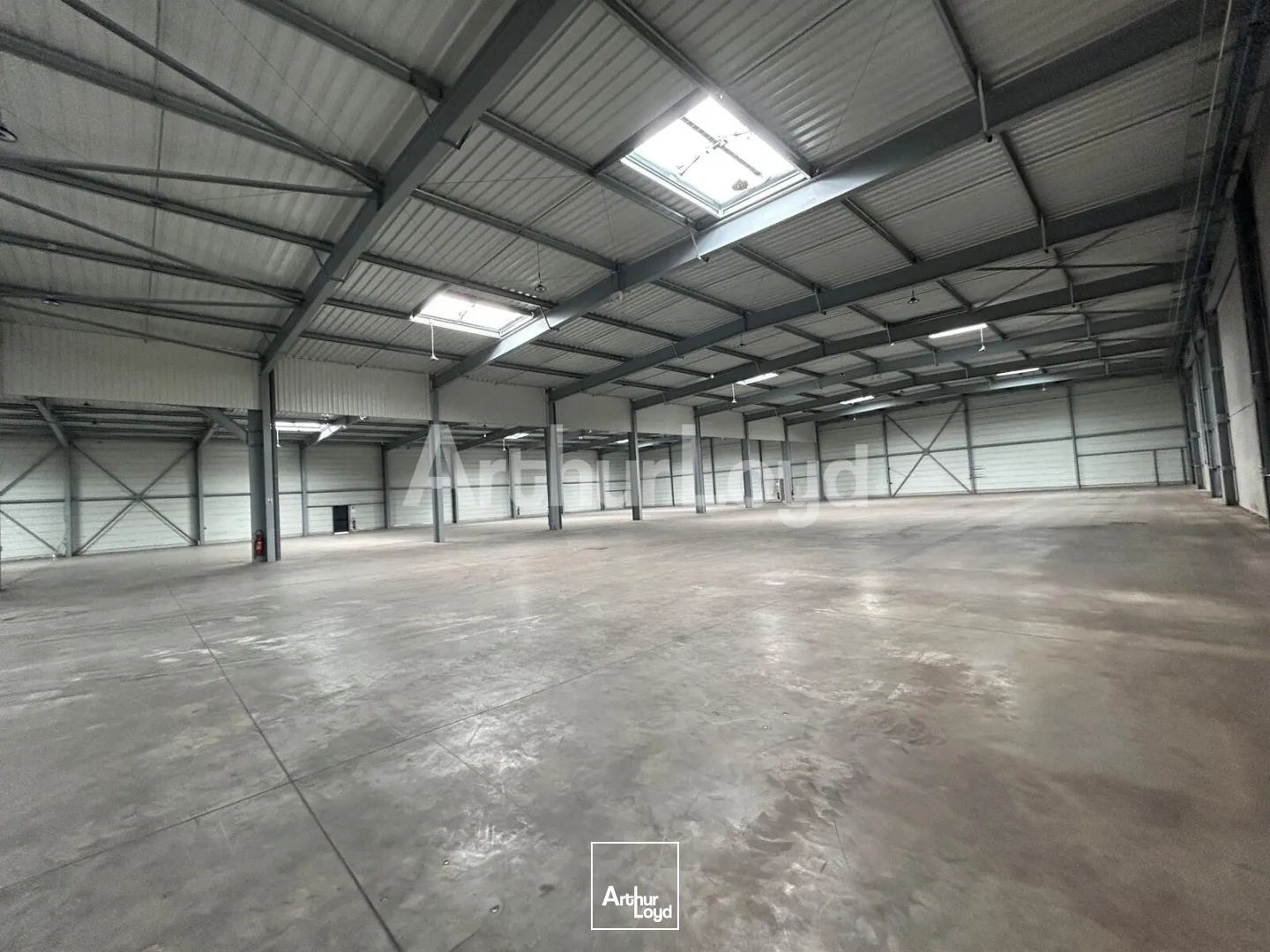 Locaux d'activité & Entrepôts - Location - SARS ET ROSIERES - 59230 - 2940-2940 - 7910485