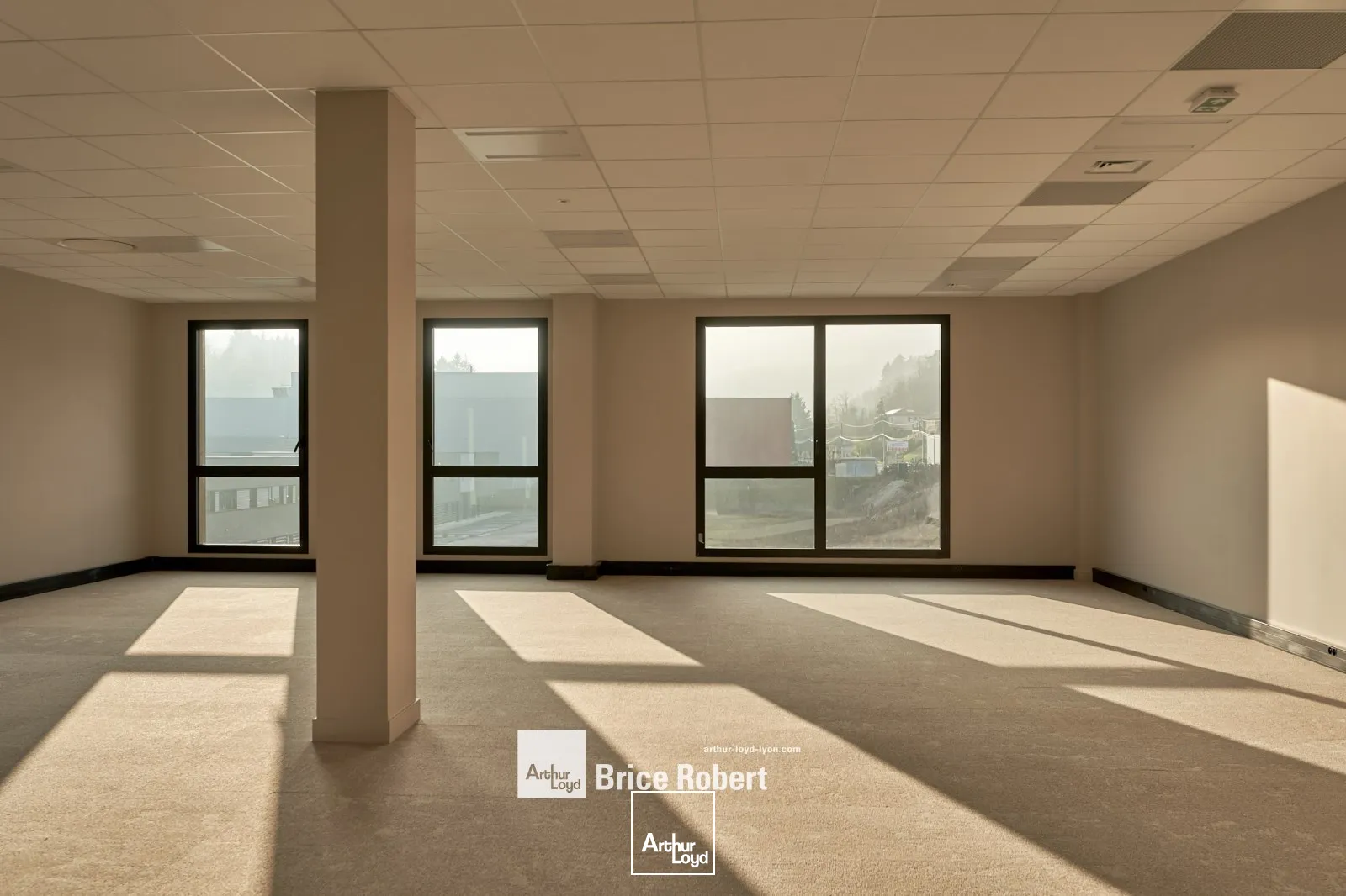 Locaux d'activité & Entrepôts - Location - TARARE - 69170 - 169-2905 - 7910557