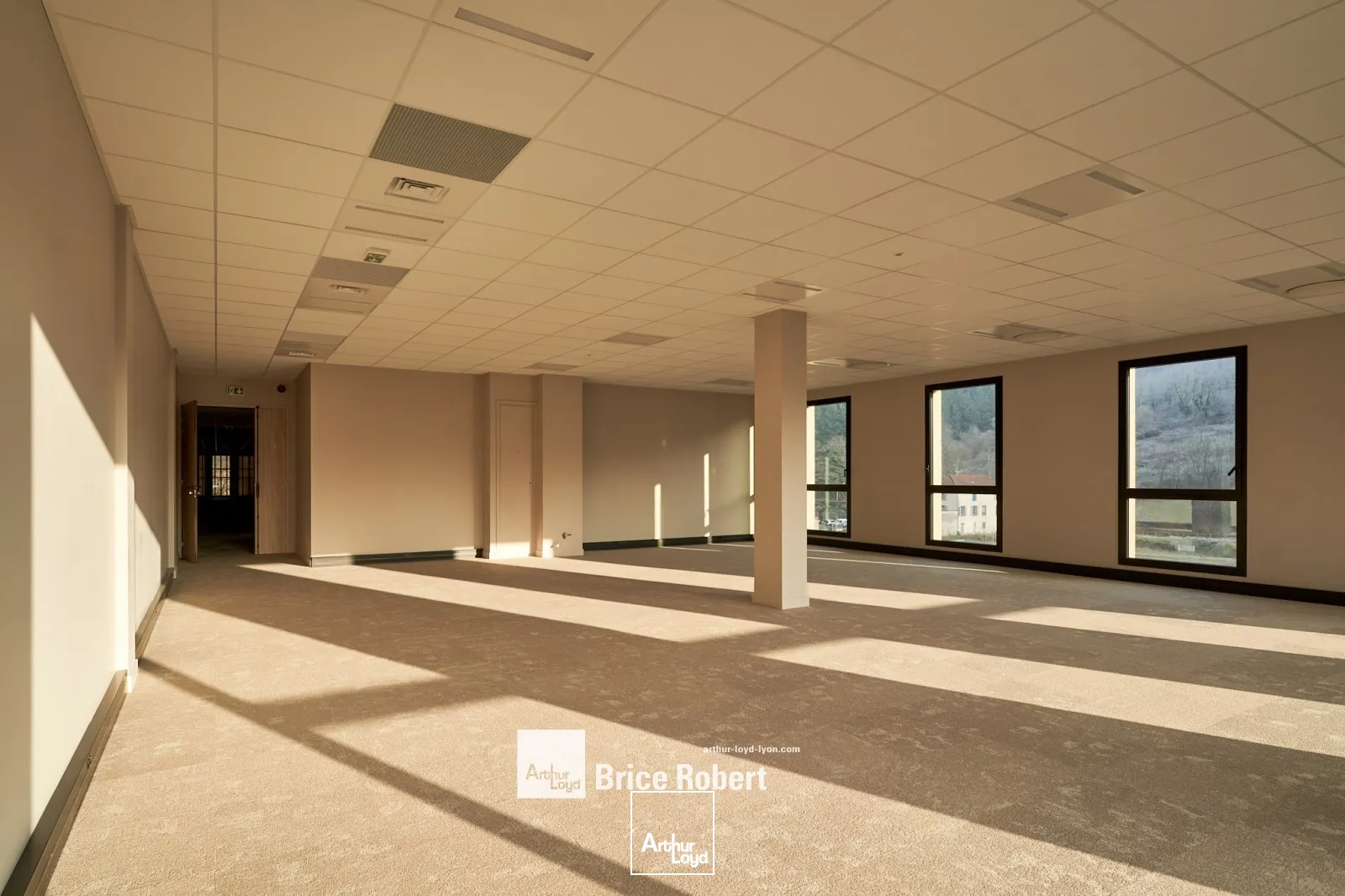 Locaux d'activité & Entrepôts - Location - TARARE - 69170 - 169-2905 - 7910558