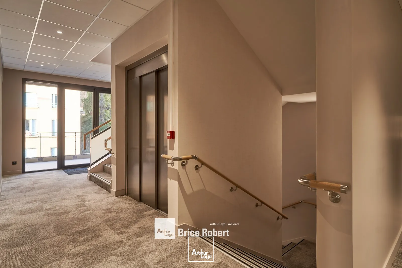 Locaux d'activité & Entrepôts - Location - TARARE - 69170 - 169-2905 - 7910559