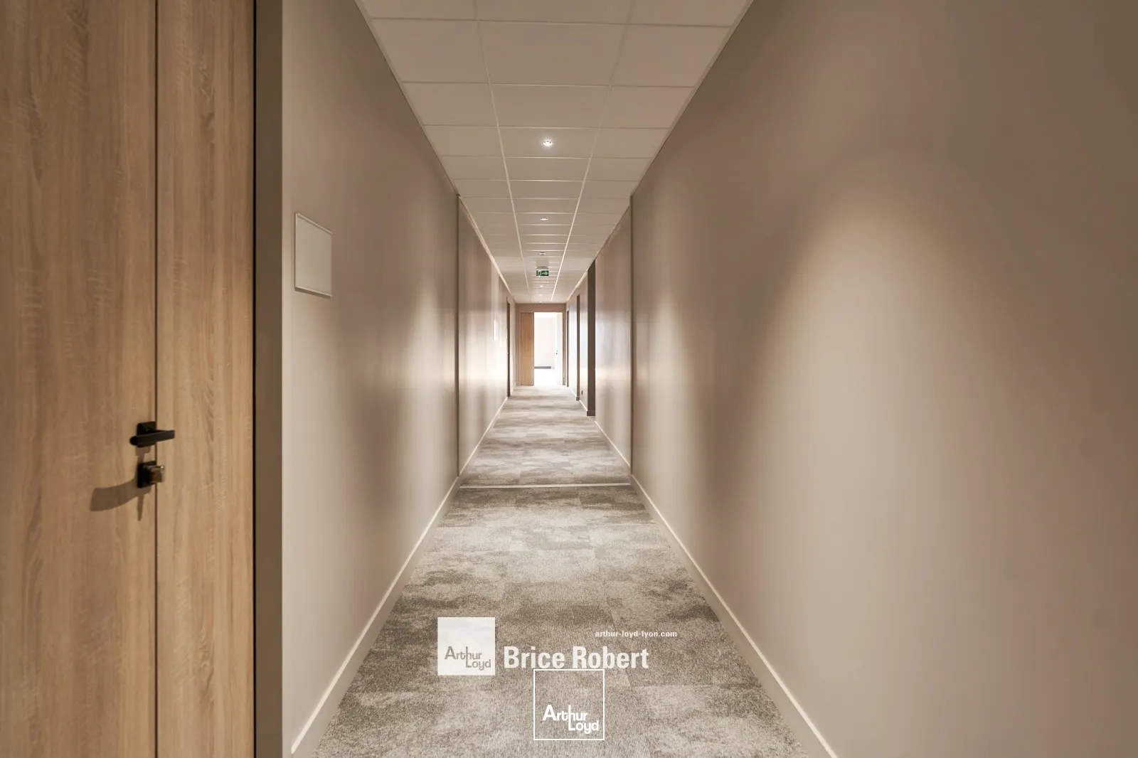 Locaux d'activité & Entrepôts - Location - TARARE - 69170 - 169-2905 - 7910560