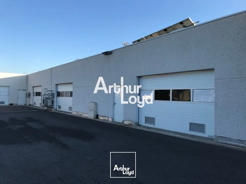 Locaux d'activité & Entrepôts - Location - MOUANS SARTOUX - 06370 - 346-346 - 7910727