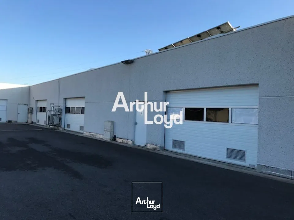 Locaux d'activité & Entrepôts - Location - MOUANS SARTOUX - 06370 - 346-346 - 7910729