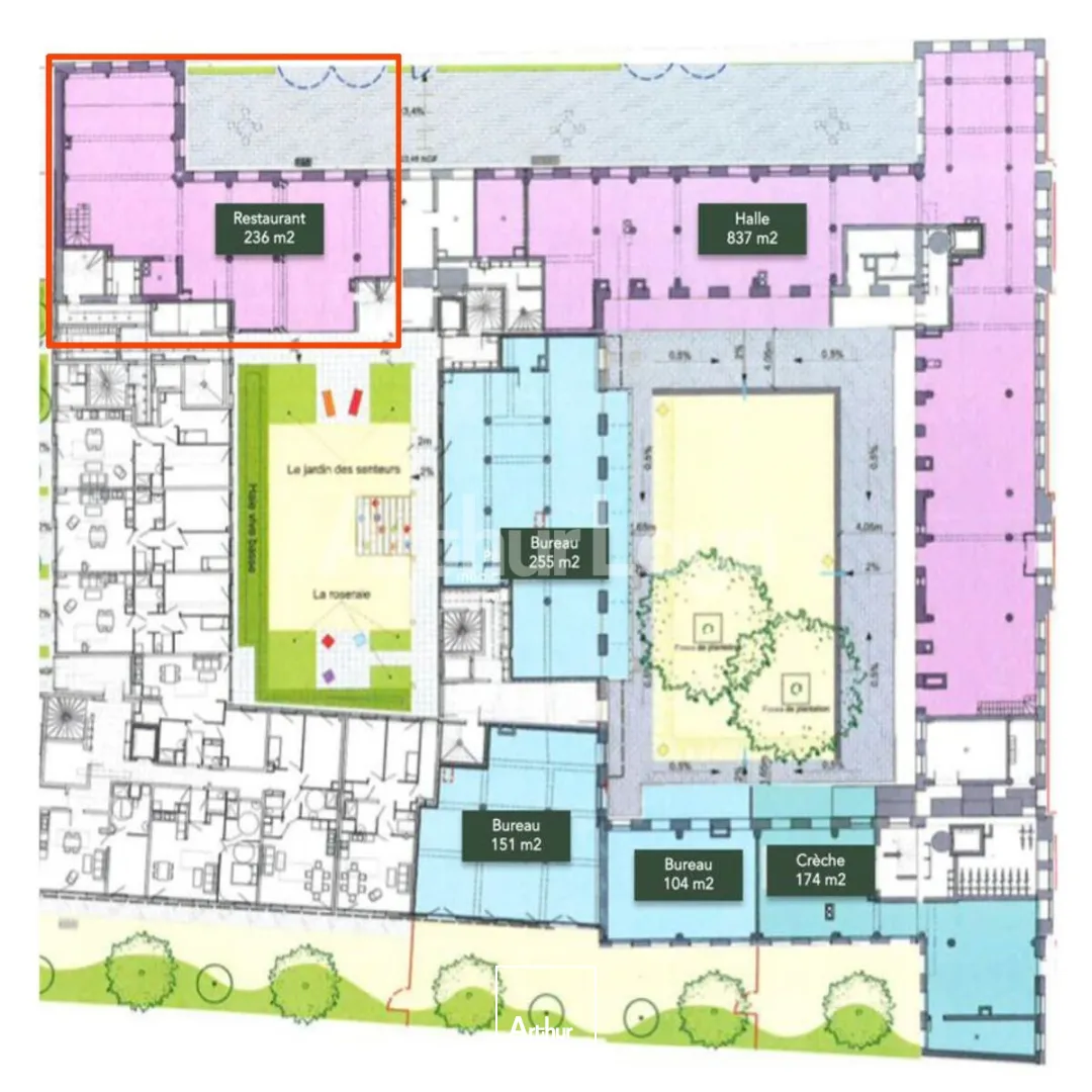 Locaux commerciaux - Location - Lille - 59000 - 236-236 - 7911455