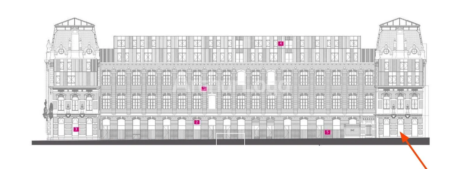 Locaux commerciaux - Location - Lille - 59000 - 236-236 - 7911463