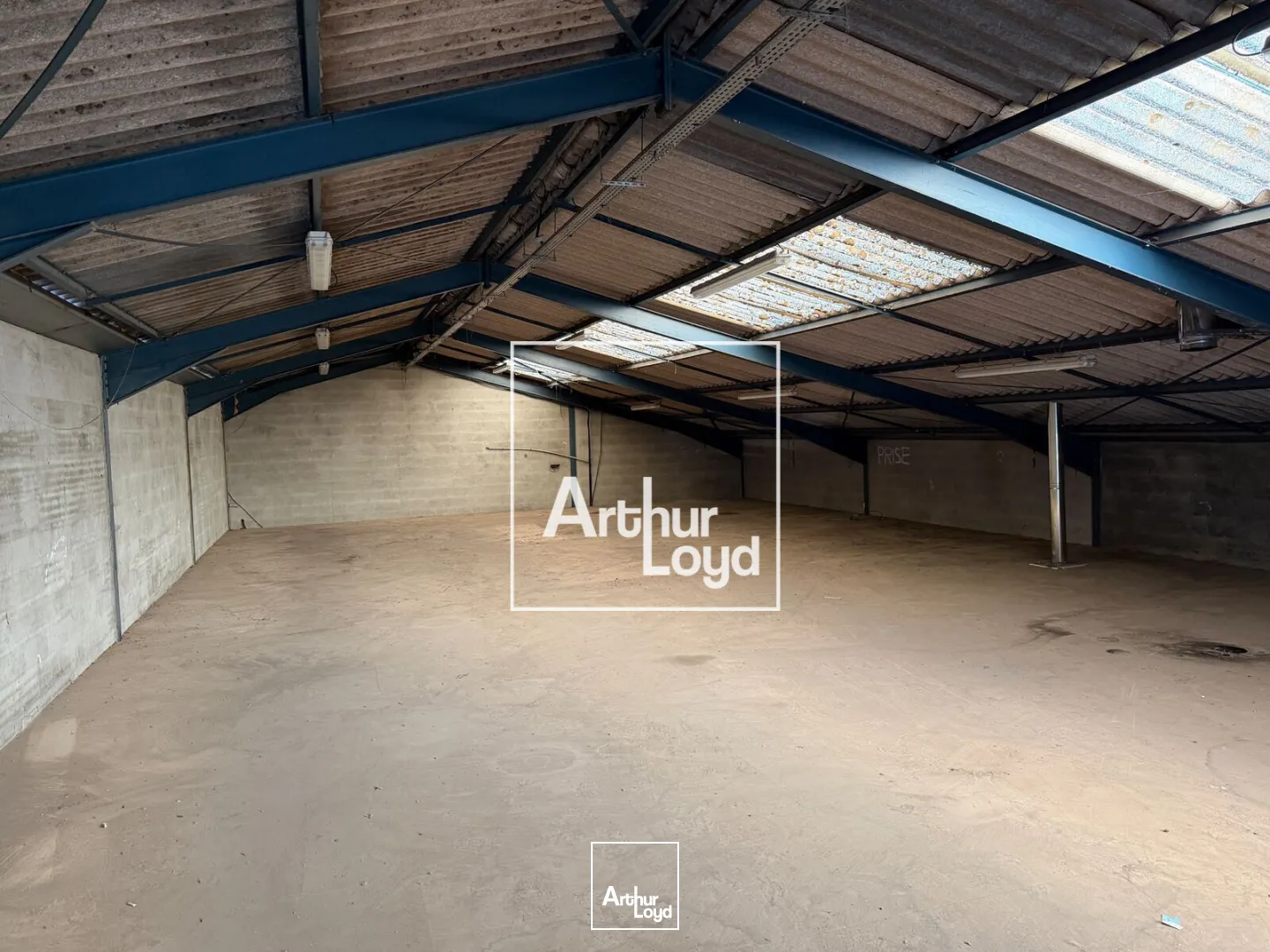 Locaux d'activité & Entrepôts - Vente - PORTET SUR GARONNE - 31120 - 1000-1000 - 7911473