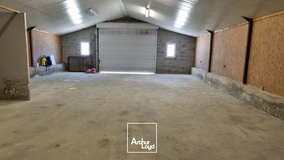 Locaux d'activité & Entrepôts - Vente - SAINT GEORGES LES BAILLARGEAUX - 86130 - 342-342 - 7911756