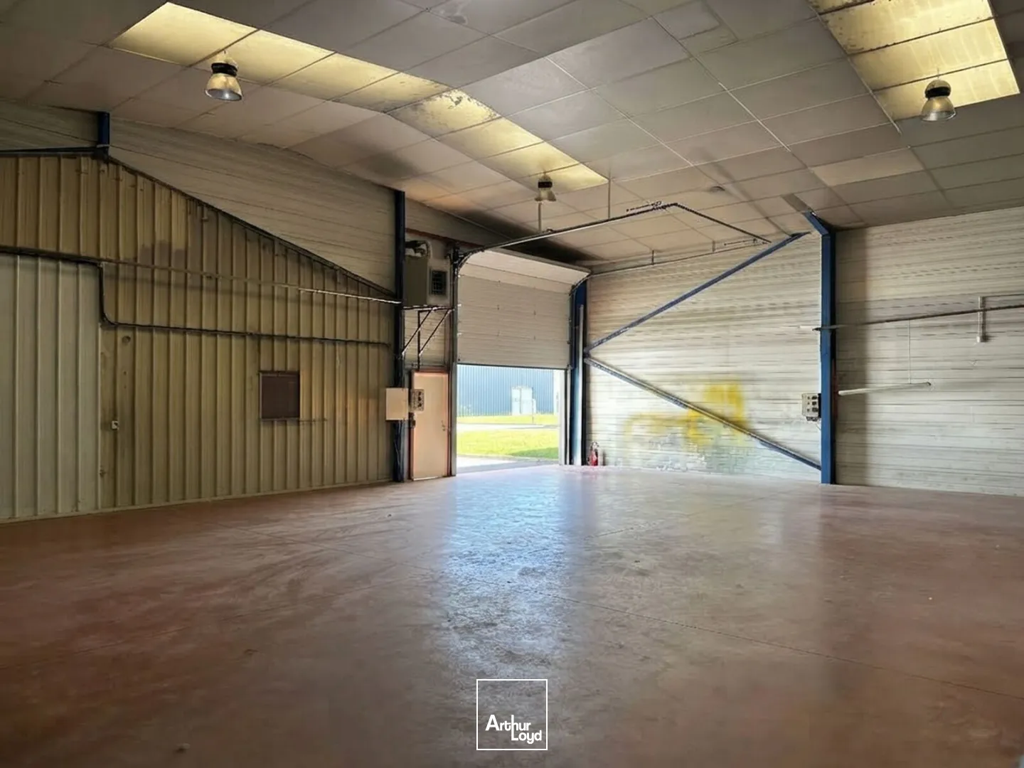 Locaux d'activité & Entrepôts - Location - CESTAS - 33610 - 421-856 - 7911942