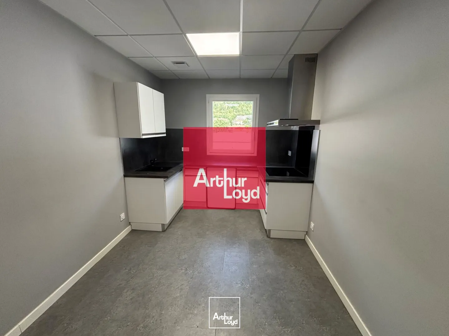 Locaux d'activité & Entrepôts - Location - LUMBIN - 38660 - 400-400 - 7911973