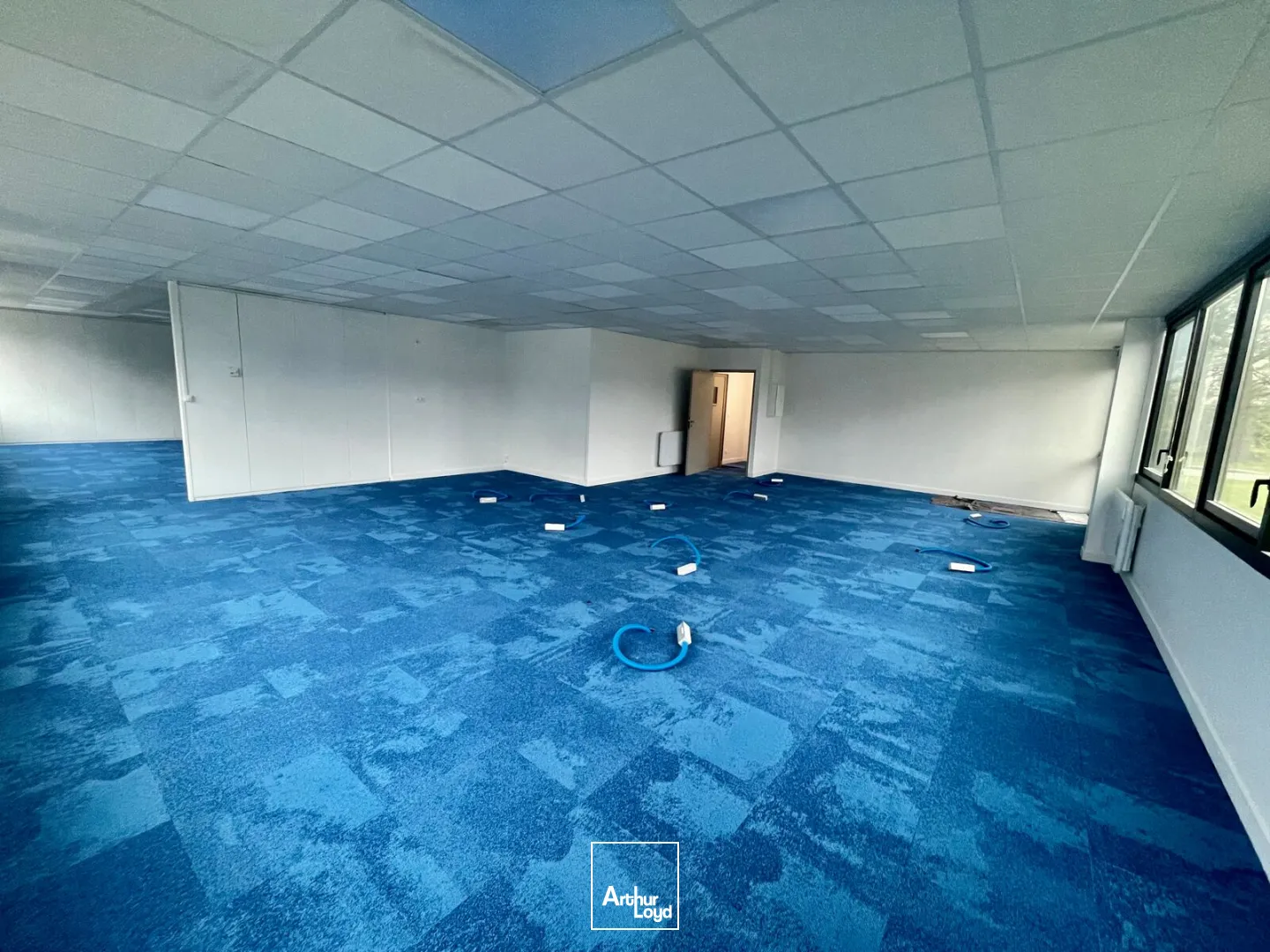 Bureaux - Location - BOIS GUILLAUME - 76230 - 159.3-321.9 - 7912060