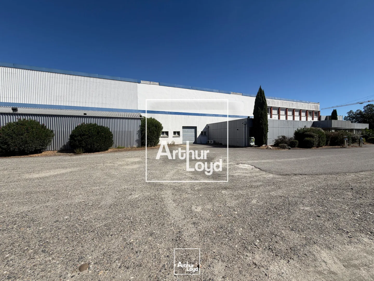 Locaux d'activité & Entrepôts - Location - LESPINASSE - 31150 - 4268-4268 - 7912281