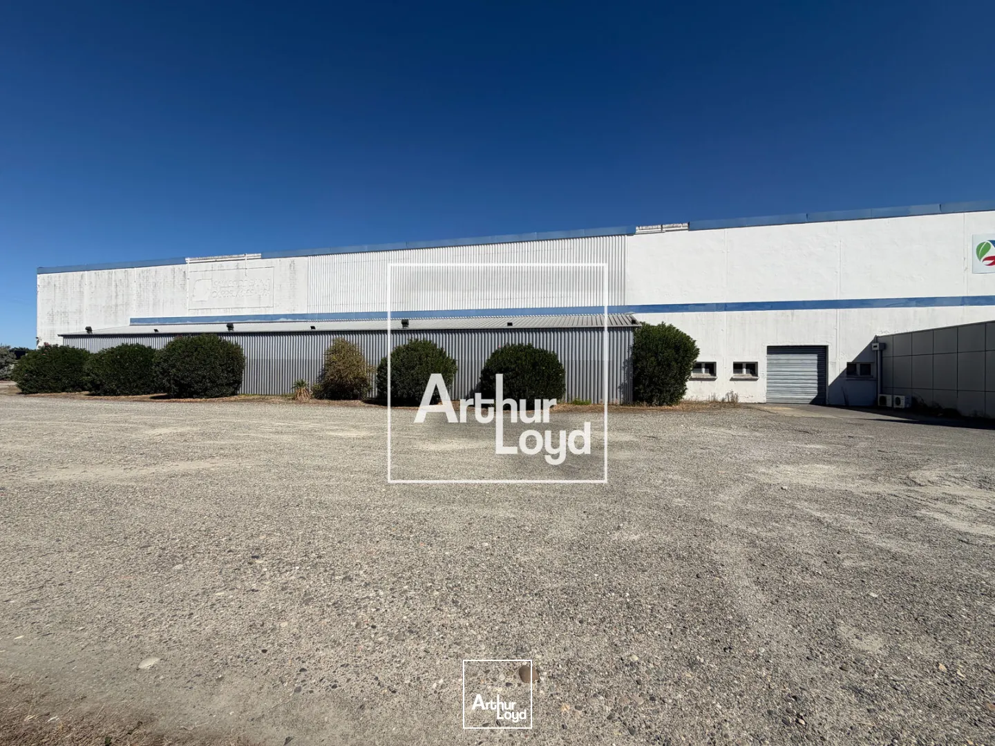 Locaux d'activité & Entrepôts - Location - LESPINASSE - 31150 - 4268-4268 - 7912282