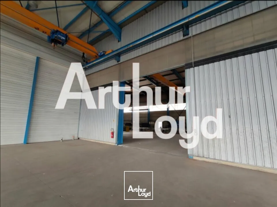Locaux d'activité & Entrepôts - Location - SAINTE-HÉLÈNE-DU-LAC - 73800 - 1200-3200 - 7912291
