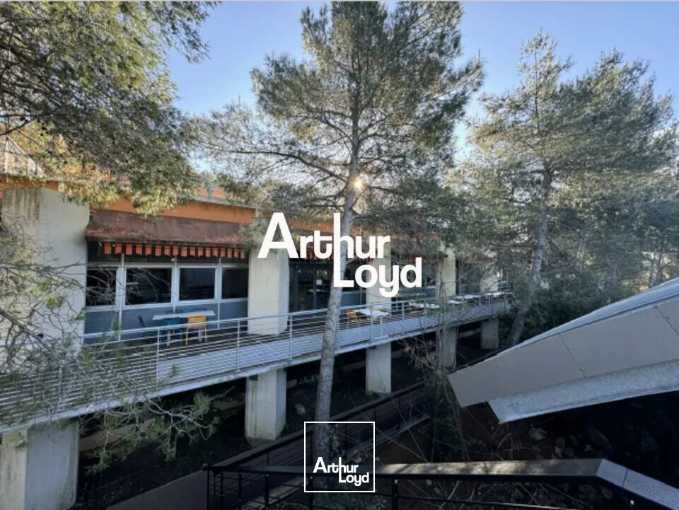 Locaux d'activité & Entrepôts - Location - VALBONNE - 06560 - 860-1500 - 7912570