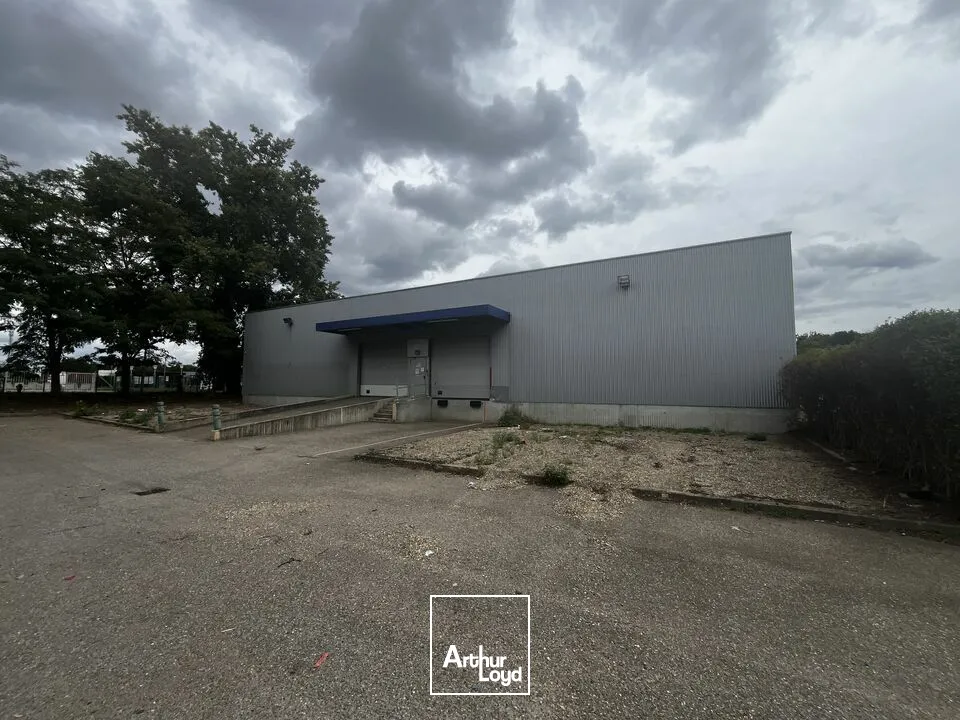 Locaux d'activité & Entrepôts - Location - OSTWALD - 67540 - 1592-1592 - 7912609