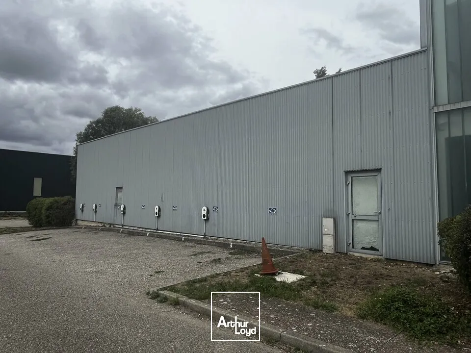 Locaux d'activité & Entrepôts - Location - OSTWALD - 67540 - 1592-1592 - 7912610