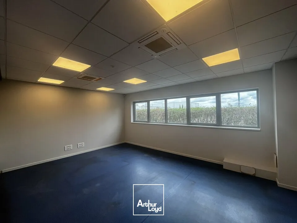 Locaux d'activité & Entrepôts - Location - OSTWALD - 67540 - 1592-1592 - 7912618