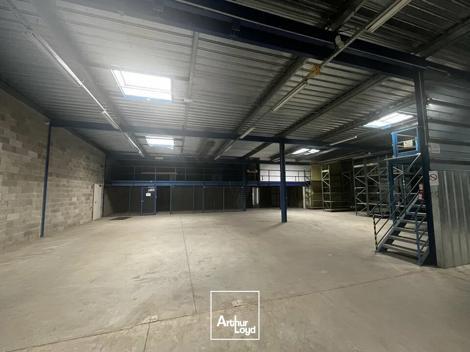 Locaux d'activité & Entrepôts - Location - OSTWALD - 67540 - 1592-1592 - 7912611