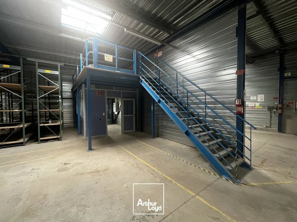 Locaux d'activité & Entrepôts - Location - OSTWALD - 67540 - 1592-1592 - 7912612