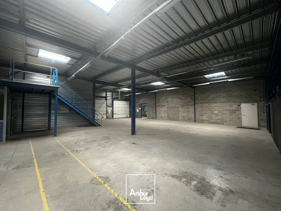 Locaux d'activité & Entrepôts - Location - OSTWALD - 67540 - 1592-1592 - 7912615