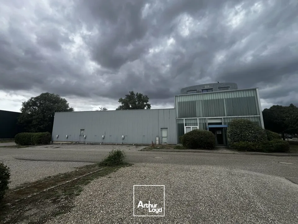 Locaux d'activité & Entrepôts - Location - OSTWALD - 67540 - 1592-1592 - 7912613