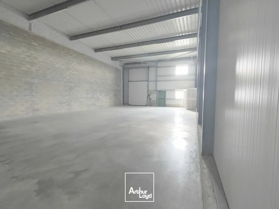 Locaux d'activité & Entrepôts - Location - CERNAY LES REIMS - 51420 - 200-200 - 7912652