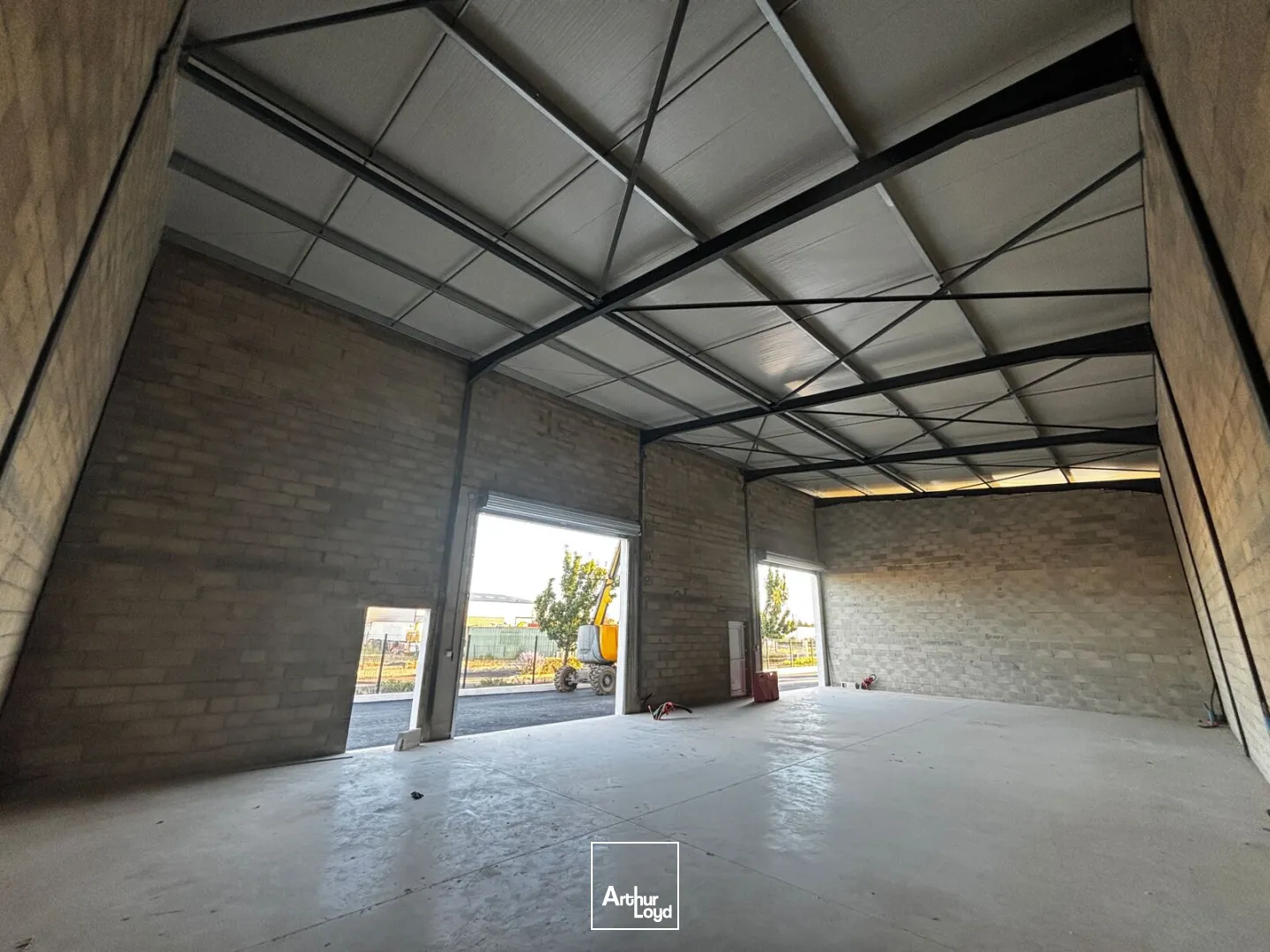 Bureaux - Location - PORTIRAGNES - 34420 - 77-1082.66 - 7913054