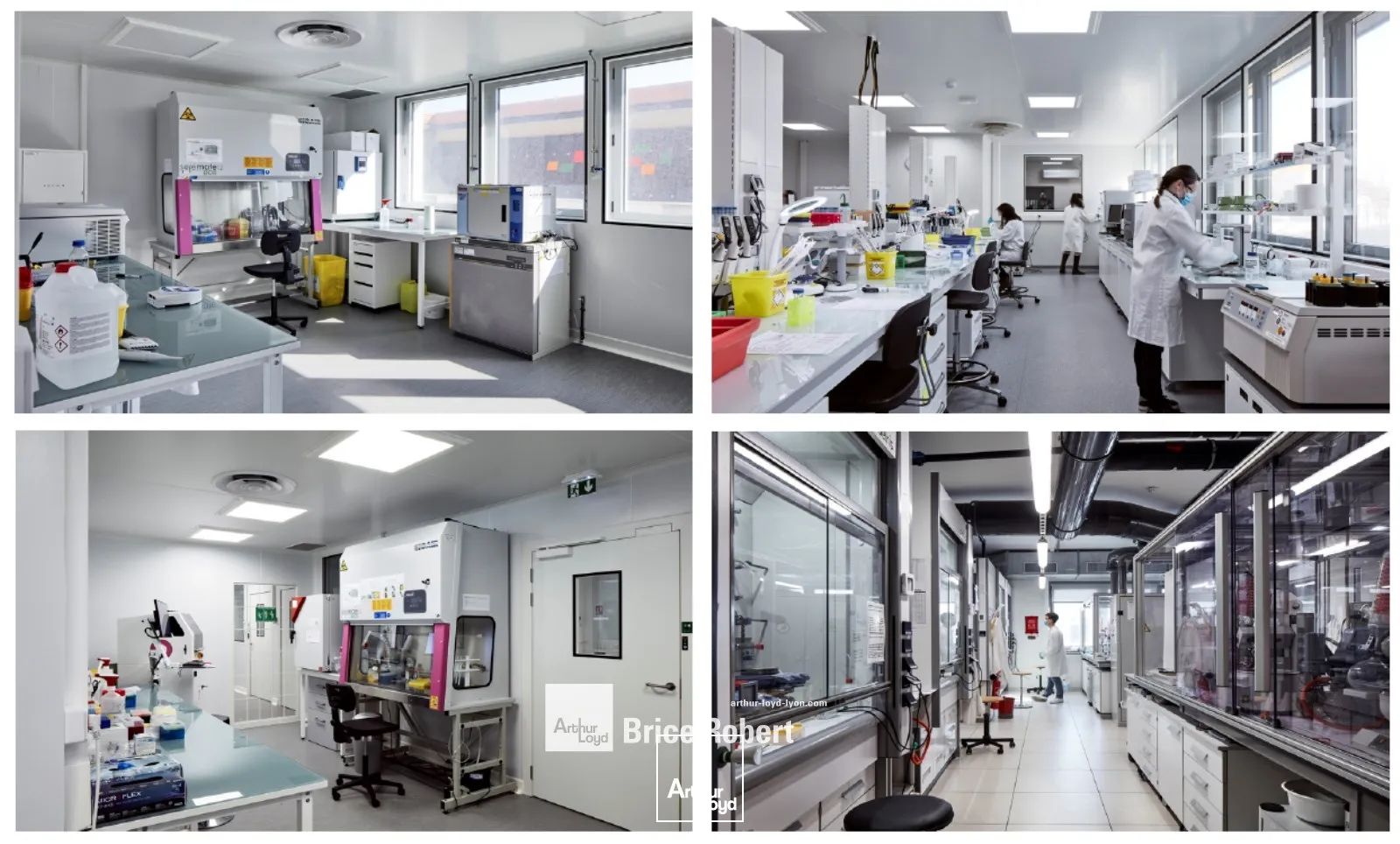 Bureaux - Location - LYON - 69008 - 354-1105 - 7913337