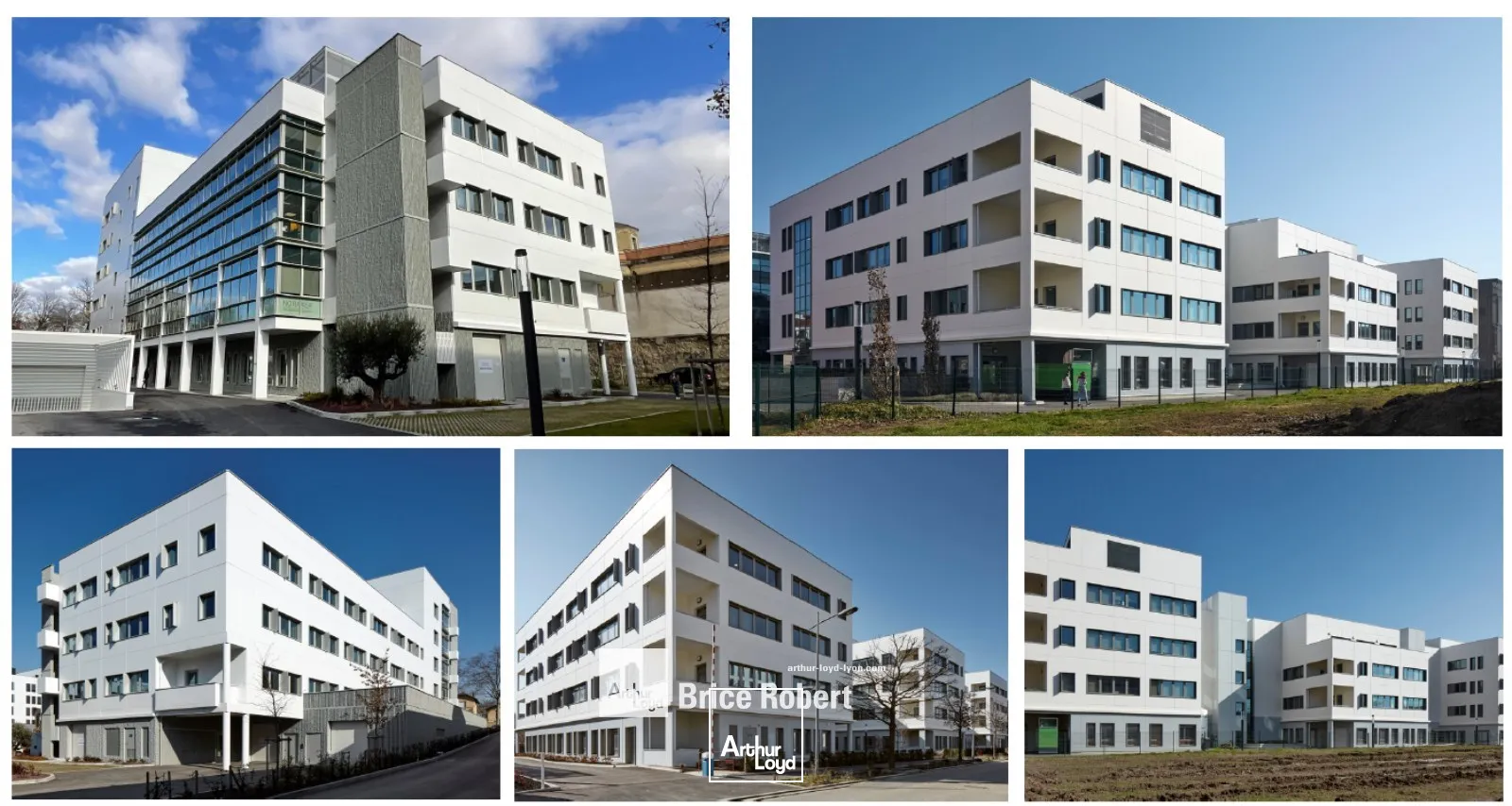 Bureaux - Location - LYON - 69008 - 354-1105 - 7913335