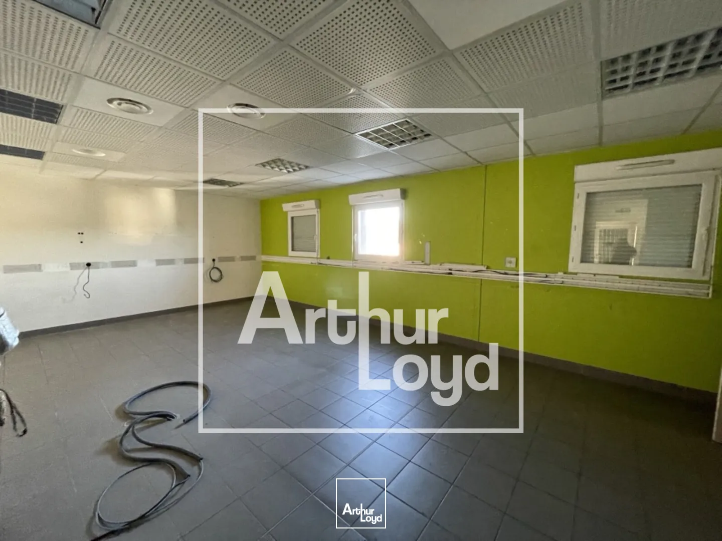 Bureaux - Location - SAINT GELY DU FESC - 34980 - 180-180 - 7914714