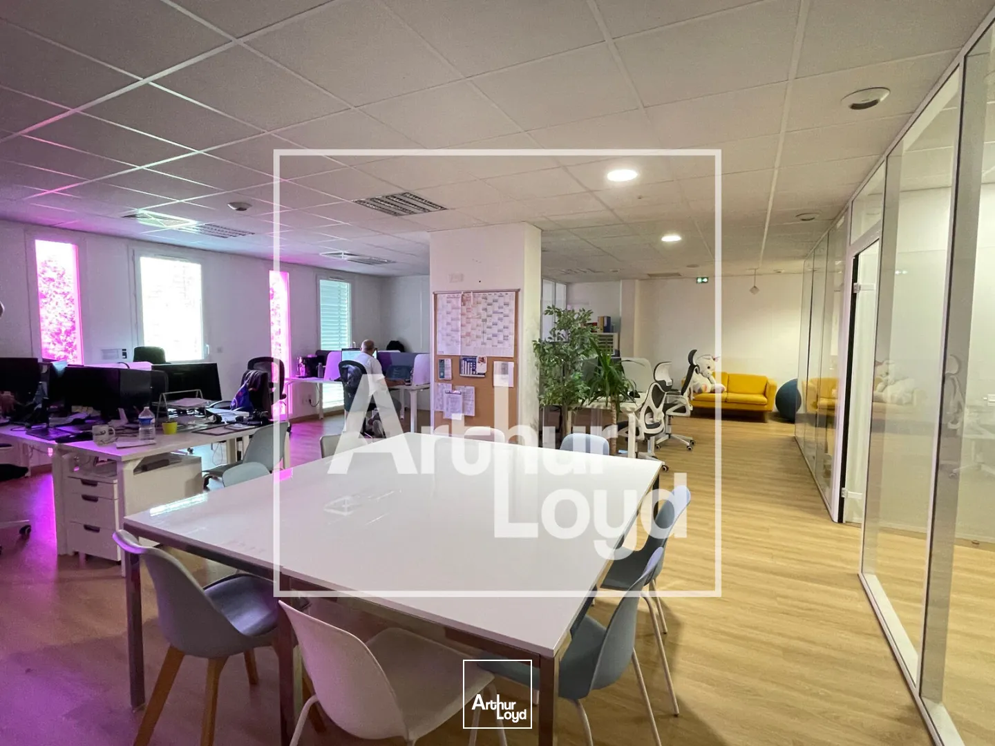 Bureaux - Vente - LE CRES - 34920 - 118-118 - 7914732