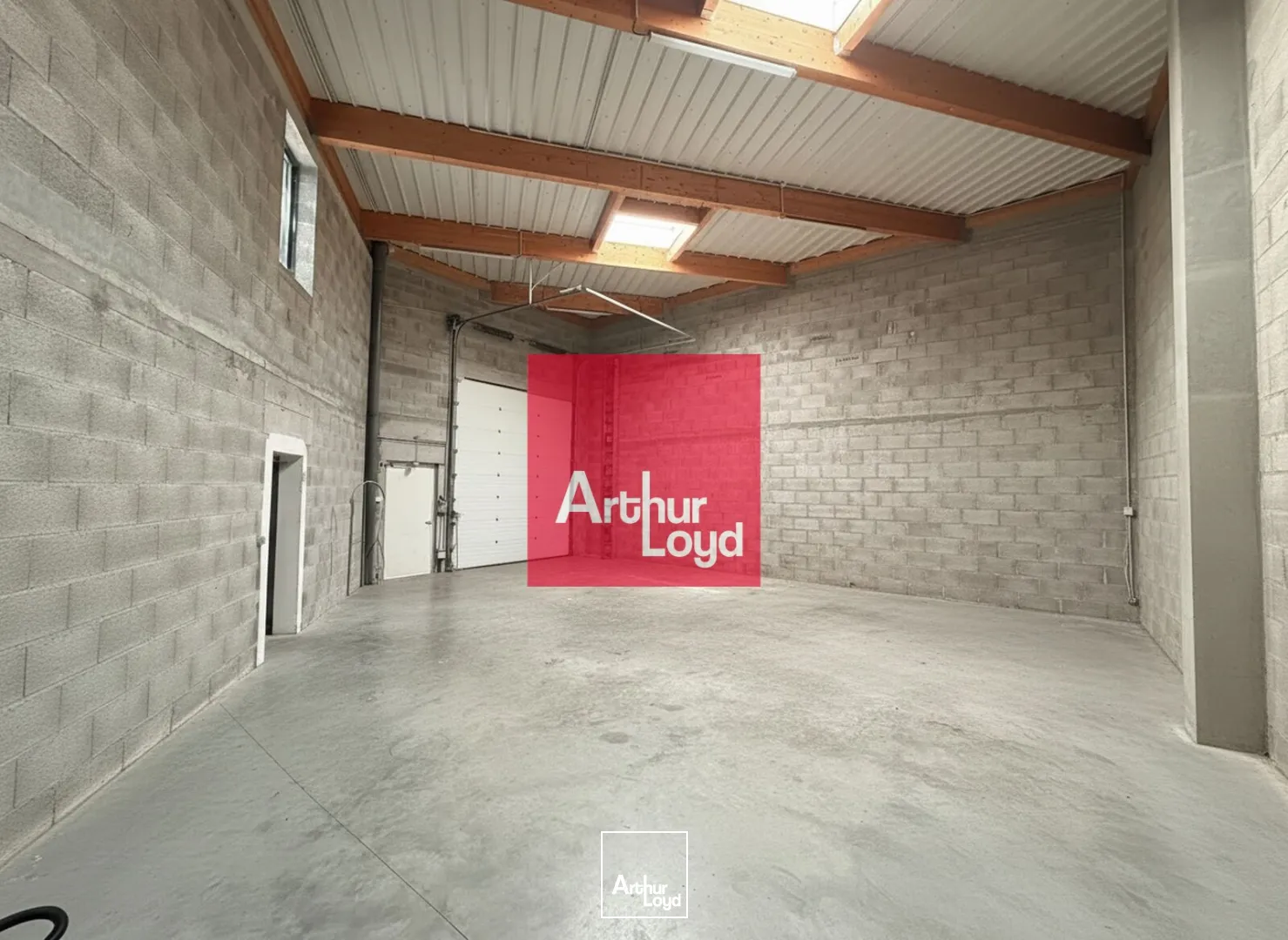 Locaux d'activité & Entrepôts - Location - ECHIROLLES - 38130 - 262-262 - 7914834