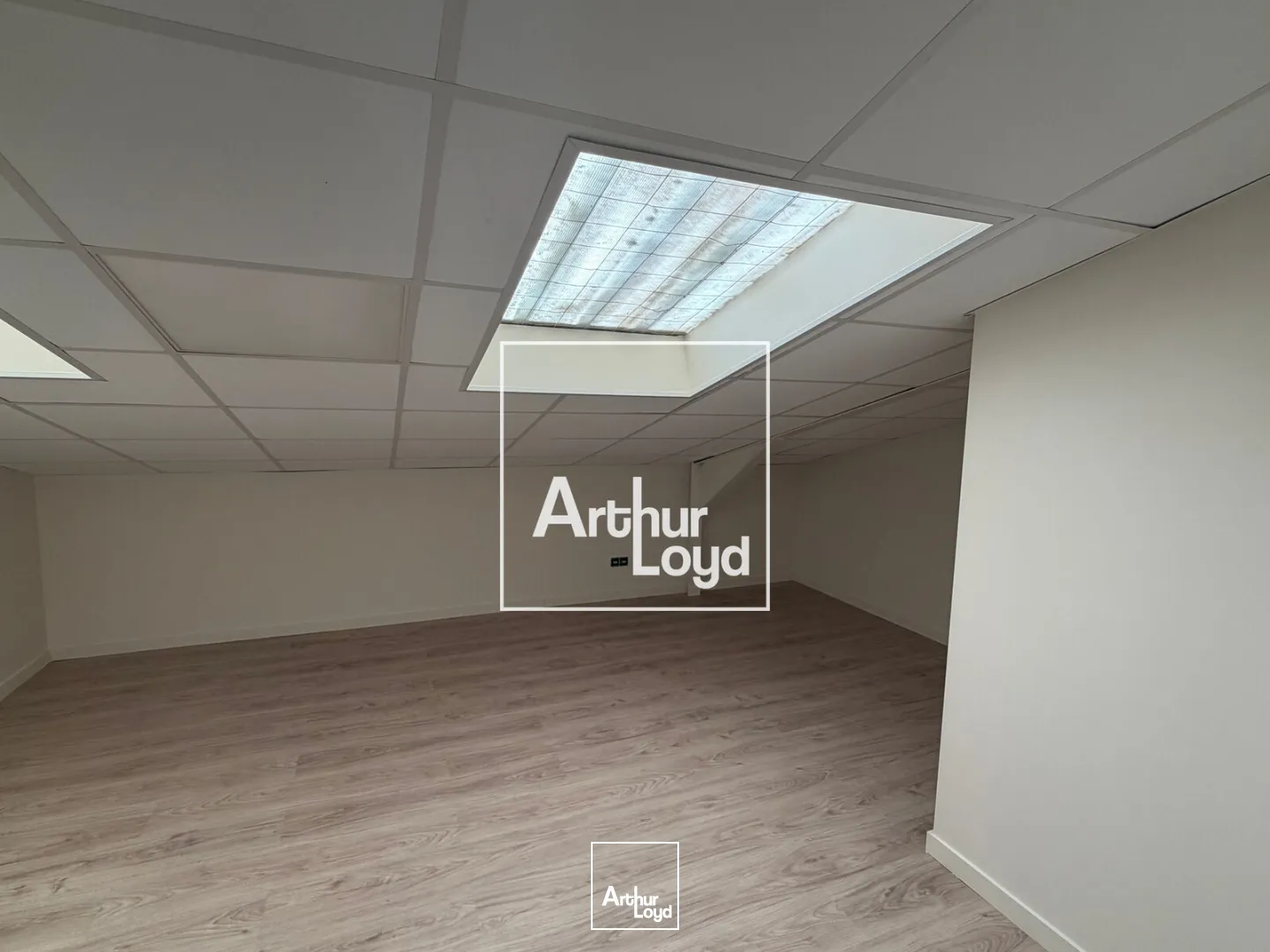 Locaux d'activité & Entrepôts - Vente - MONTRABE - 31850 - 333-333 - 7915220