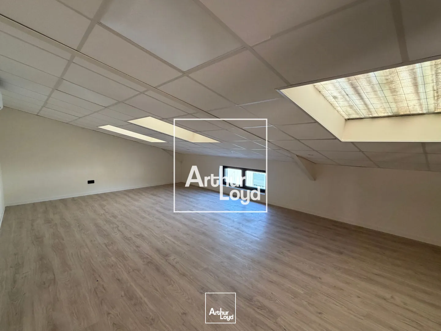 Locaux d'activité & Entrepôts - Vente - MONTRABE - 31850 - 333-333 - 7915219