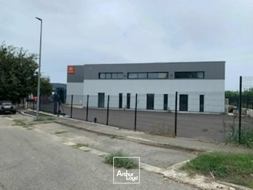 Bureaux - Location - CAVAILLON - 84300 - 164-164 - 7915598