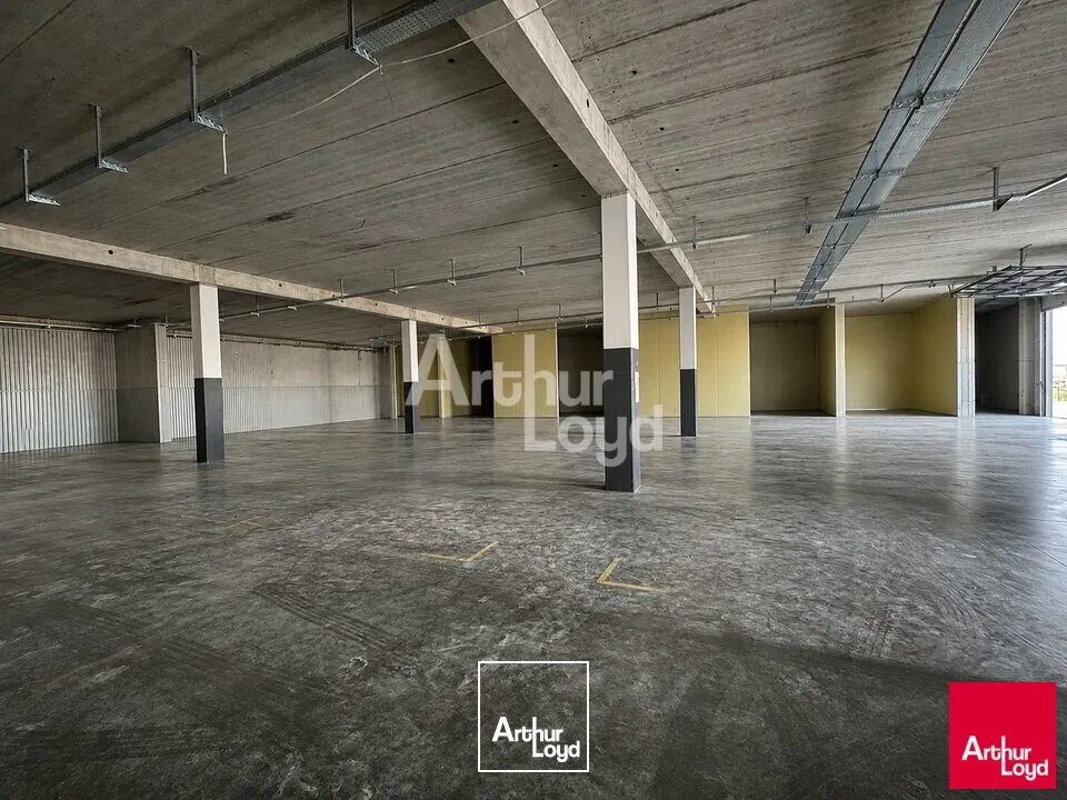 Locaux d'activité & Entrepôts - Location - CESSON SEVIGNE - 35510 - 600-1700 - 7915719