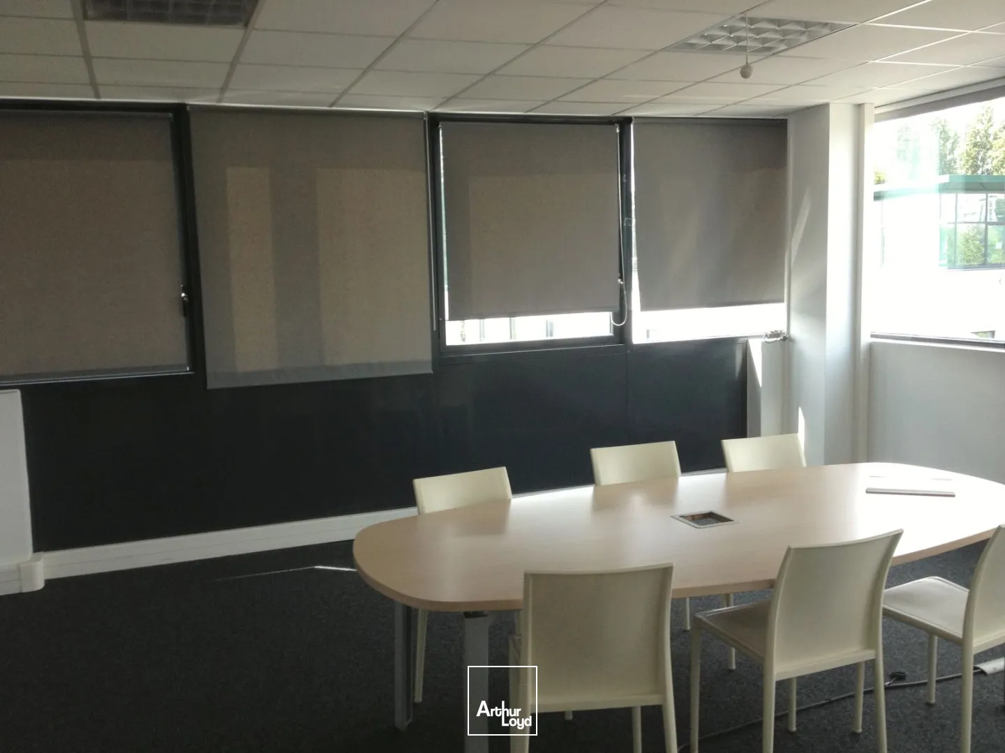Bureaux - Location - VILLENEUVE LA GARENNE - 92390 - 301-301 - 7916289