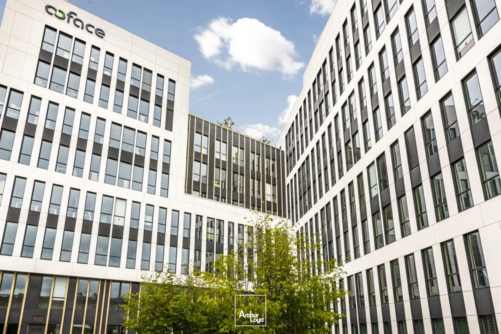 Bureaux - Location - BOIS COLOMBES - 92270 - 575-2769 - 7916361