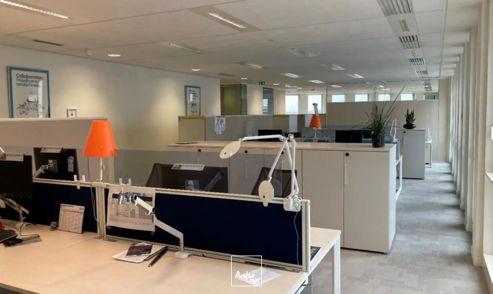 Bureaux - Location - BOIS COLOMBES - 92270 - 575-2769 - 7916362