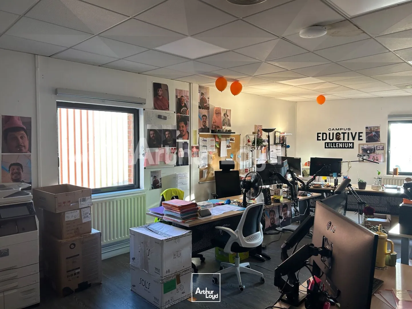 Bureaux - Location - LILLE - 59000 - 1765-1765 - 7916821