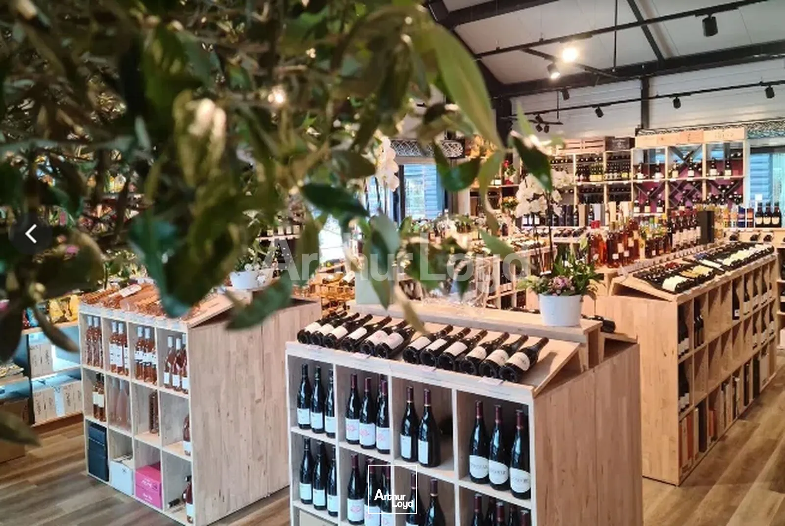 Locaux commerciaux - Location - RONCQ - 59223 - 110-110 - 7916883