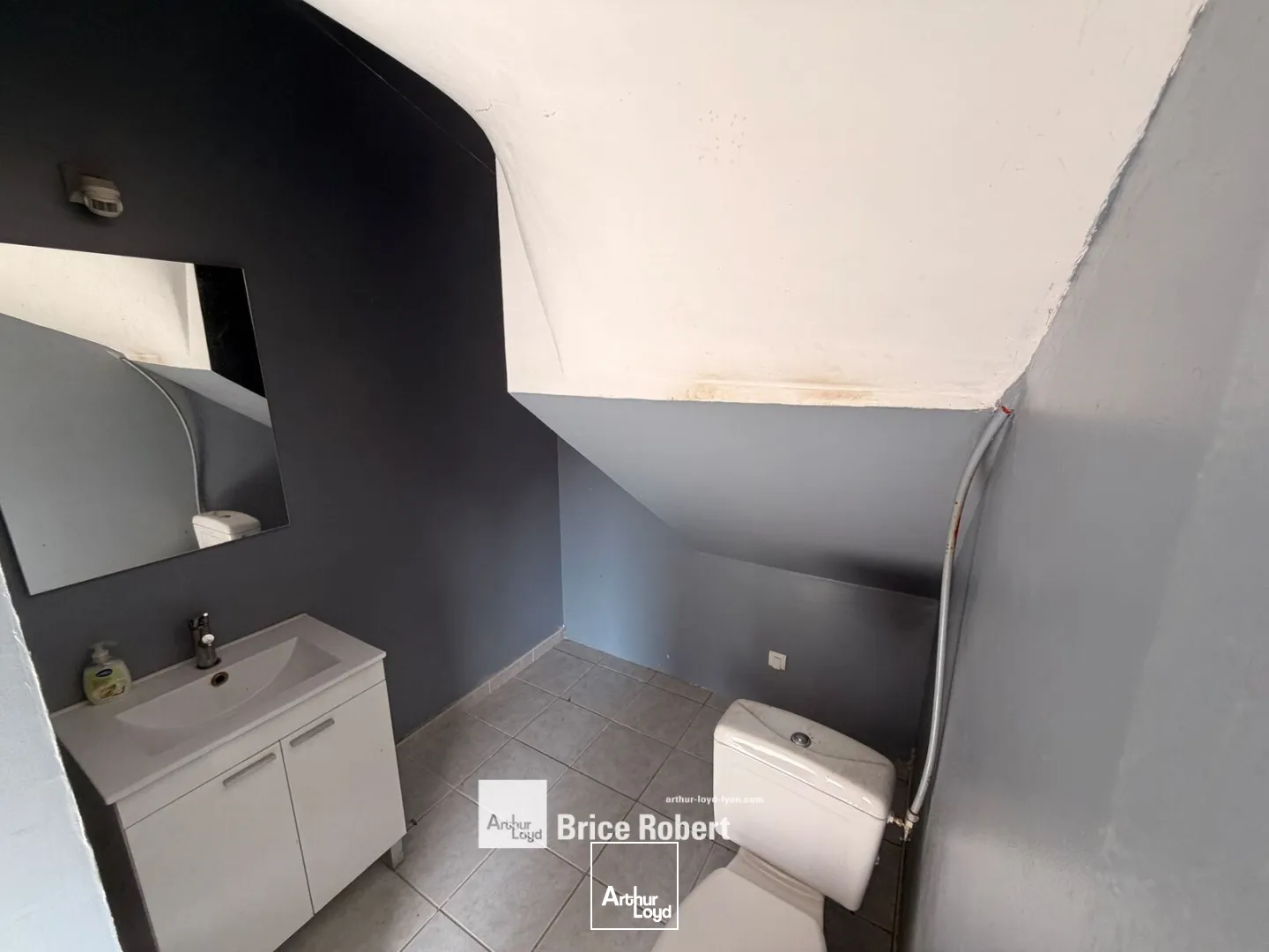 Locaux d'activité & Entrepôts - Location - VILLETTE D'ANTHON - 38280 - 160-160 - 7917056