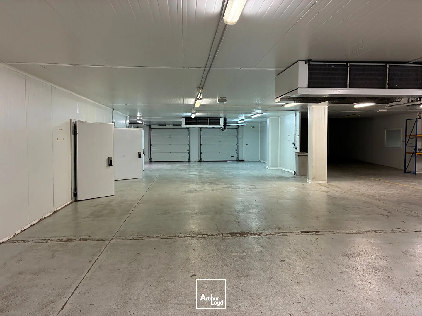 Locaux d'activité & Entrepôts - Location - ROCHEFORT - 17300 - 976-976 - 7917122
