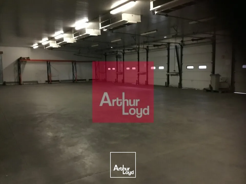 Locaux d'activité & Entrepôts - Location - COURNON D'AUVERGNE - 63800 - 2360-2360 - 7917174