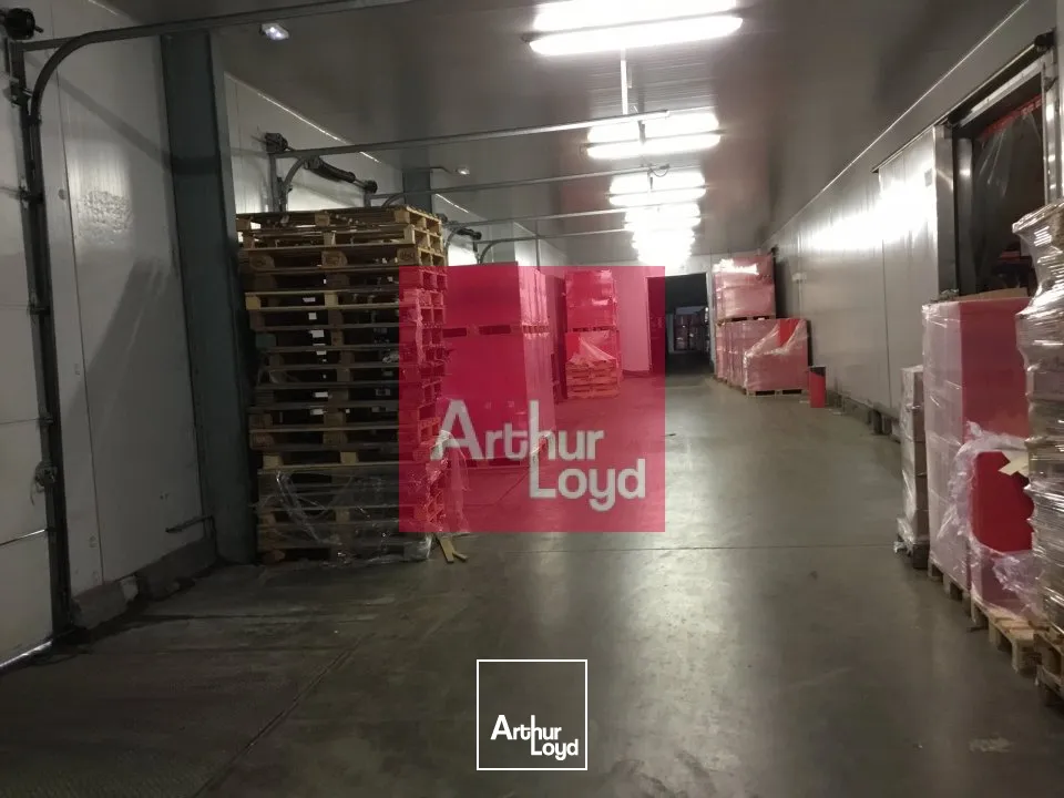 Locaux d'activité & Entrepôts - Location - COURNON D'AUVERGNE - 63800 - 2360-2360 - 7917177