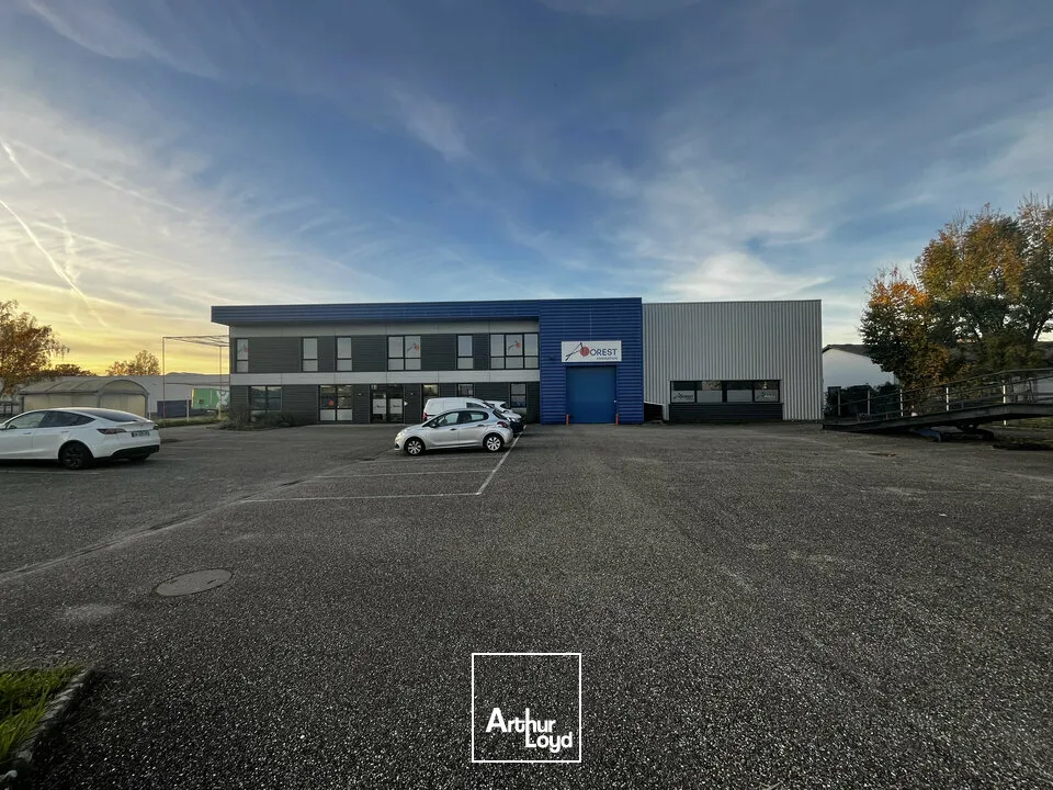 Locaux d'activité & Entrepôts - Vente - ILLKIRCH-GRAFFENSTADEN - 67400 - 1161-1161 - 7917216