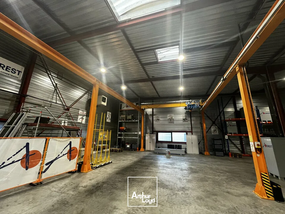 Locaux d'activité & Entrepôts - Vente - ILLKIRCH-GRAFFENSTADEN - 67400 - 1161-1161 - 7917217