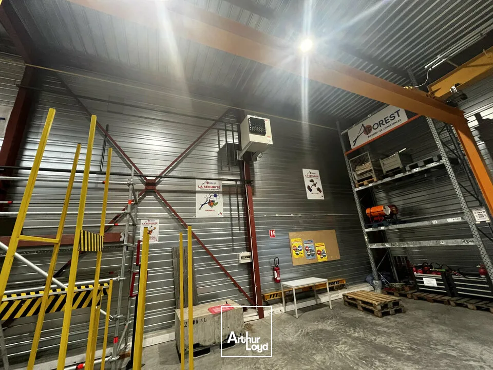 Locaux d'activité & Entrepôts - Vente - ILLKIRCH-GRAFFENSTADEN - 67400 - 1161-1161 - 7917218