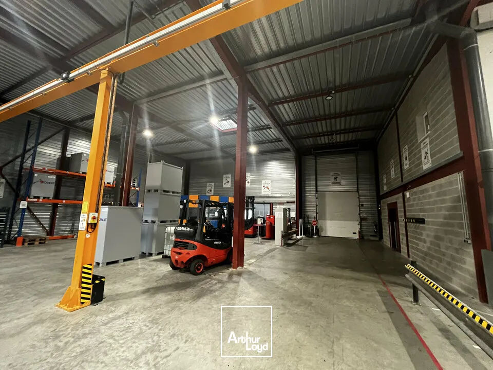 Locaux d'activité & Entrepôts - Vente - ILLKIRCH-GRAFFENSTADEN - 67400 - 1161-1161 - 7917219